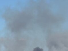 PJ detém suspeito de atear sete incêndios florestais no concelho de Mêda
