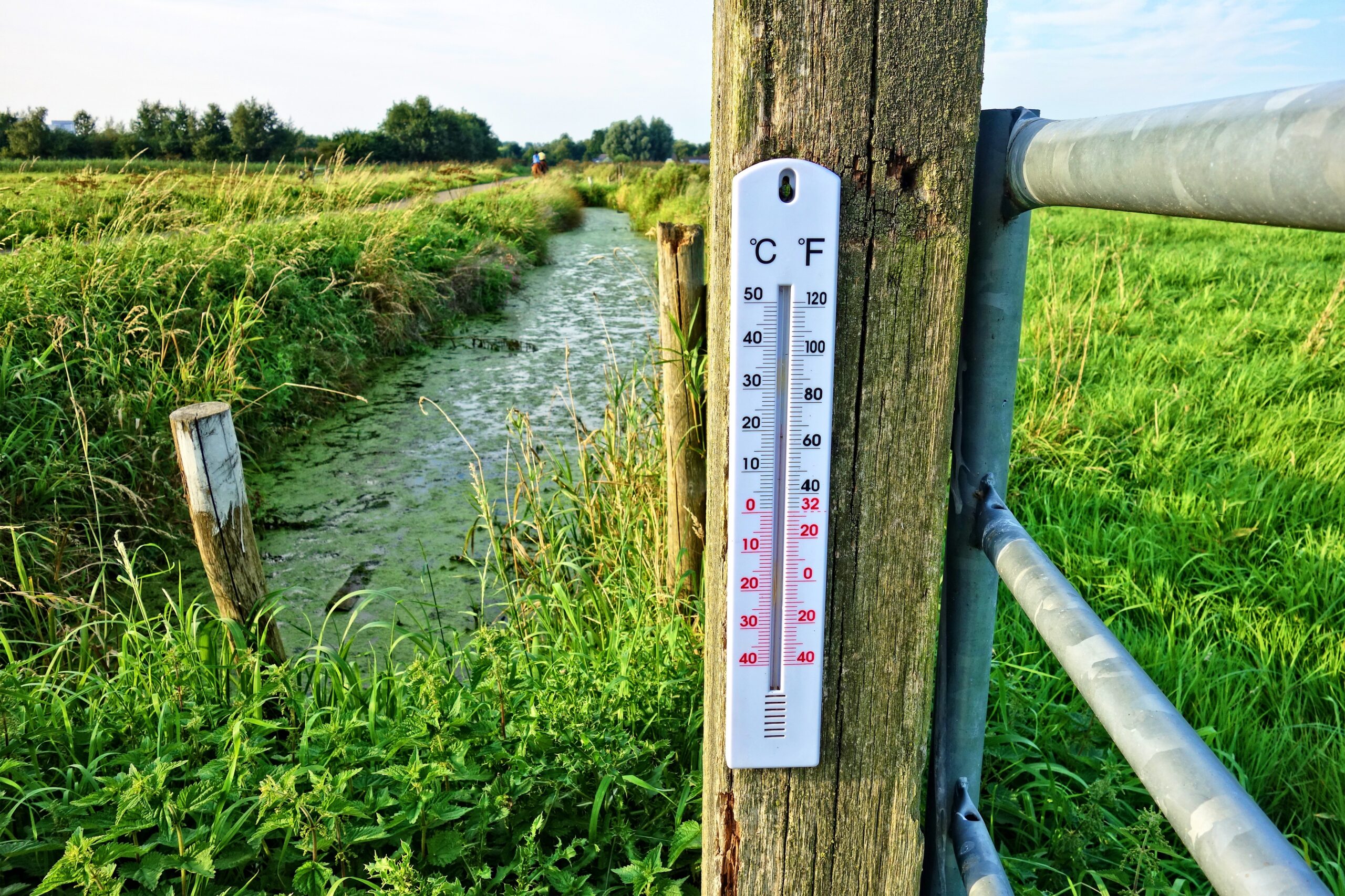 mabelamber-thermometer-2906817